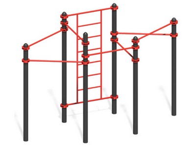 Воркаут Воля к победе