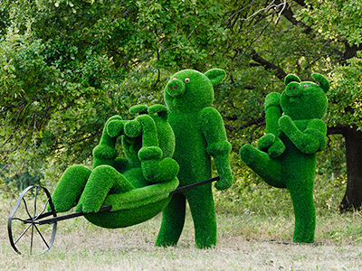 Топиари композиция бригада Хрю - газон Eco