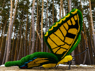 Топиари бабочка Искорка - газон Eco