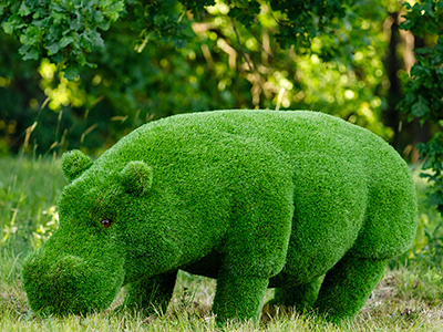 Топиари Бегемот - газон Premium