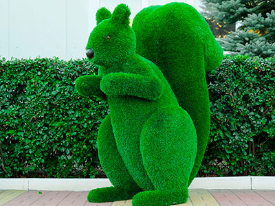 Топиари белка Лора - газон Deluxe