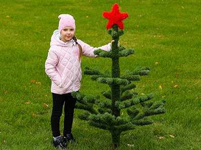Топиари Ёлка со звездой - газон Eco