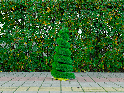 Топиари Ёлка-спиралька, h=60 см - газон Deluxe Simple