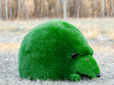 Топиари ёжик Холл - газон Deluxe