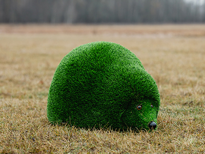 Топиари Ёжик малышок - газон Deluxe