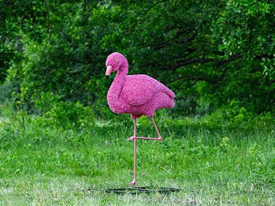 Топиари фламинго, Арина - газон Eco