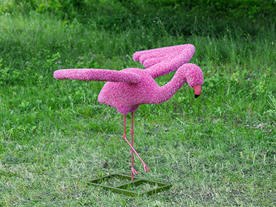 Топиари Фламинго розовый, разгон - газон Eco