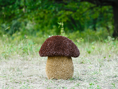 Топиари гриб Подосиновик, h=40 см - газон Eco