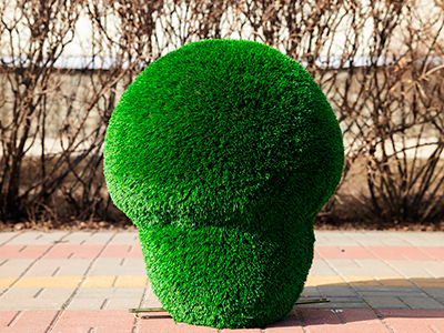 Топиари гриб Шампиньон, размер S - газон Deluxe