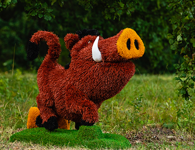 Топиари кабан Валери - газон Eco