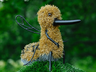 Топиари комар - газон Eco