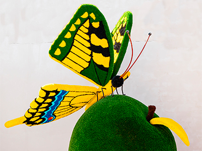 Топиари композиция бабочка на яблоке Розмарин - газон Eco+Deluxe