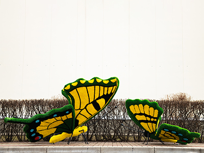 Топиари композиция бабочки Барбариска и Искорка - газон Eco