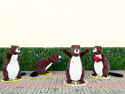 Топиари композиция Бобры - газон Eco