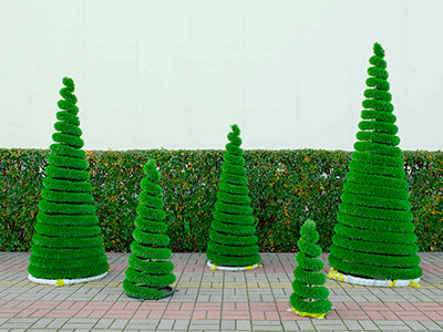 Топиари композиция Елки спиральки - газон Deluxe Simple