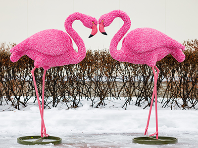 Топиари композиция фламинго, Бриджит, 2 шт - газон Eco