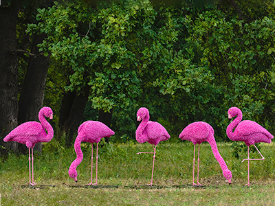 Топиари композиция фламинго розовый, семья Ларри, 5 шт - газон Eco