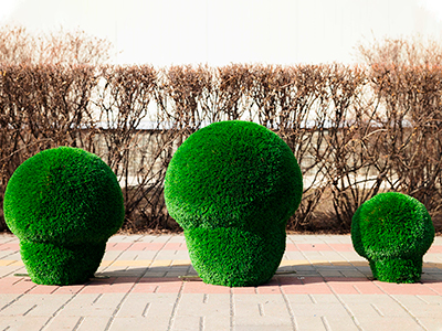 Топиари композиция грибы Шампиньоны, 3 шт - газон Deluxe