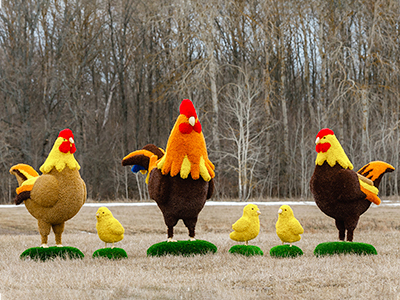 Топиари композиция Курятник - газон Eco + Deluxe