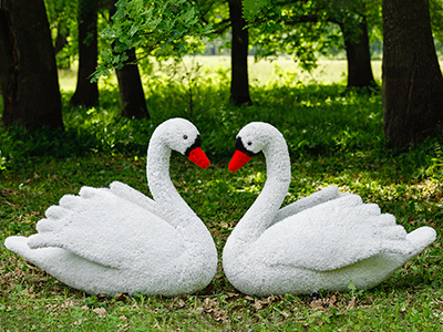Топиари композиция Лебеди белые - газон Eco