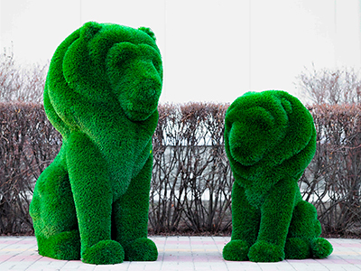 Топиари композиция львы Рикко и Томас - газон Deluxe