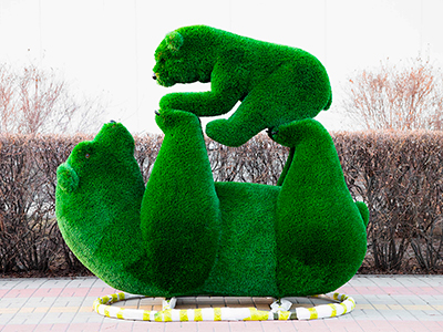 Топиари композиция Медвежья мечта - газон Deluxe