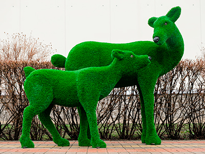 Топиари композиция олени, Мама и Малыш - газон Eco