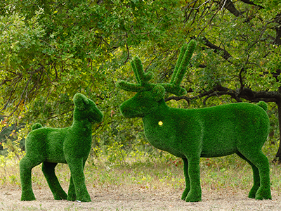 Топиари композиция олени Норди с Севой - газон Deluxe