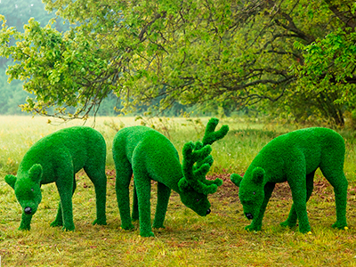 Топиари композиция Олени, олень и две самочки - газон Eco Green