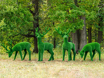 Топиари композиция олени, семья Форест - 4 шт - газон Eco