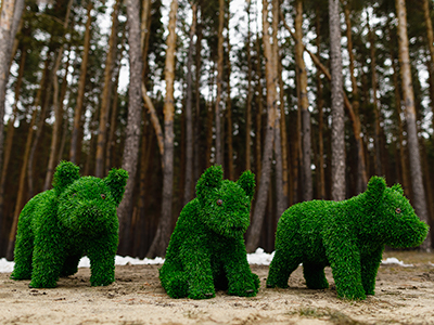 Топиари композиция Поросята детки (3 шт) - газон Eco