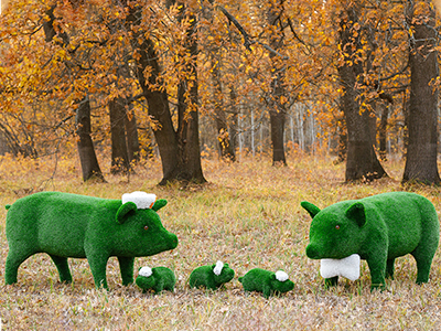 Топиари композиция Семья свинок Хрюшевиц - газон Eco