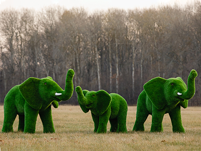 Топиари композиция Слоны, большая семья, 3 шт - газон Premium