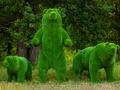 Топиари композиция три медведя - газон Eco