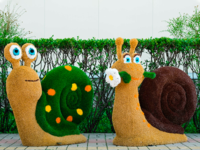 Топиари композиция улитки Скитлс и Марика - газон Eco