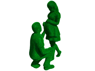 Топиари композиция в ожидании - газон Есо