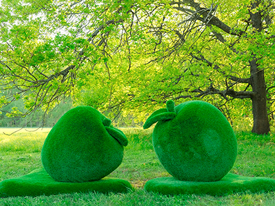 Топиари композиция яблоки - газон Eco Green