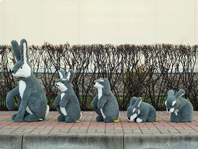 Топиари композиция Зайцы, серые - газон Eco