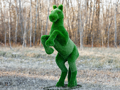 Топиари Конь на дыбах - газон Premium