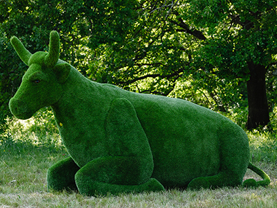 Топиари Корова - газон Premium