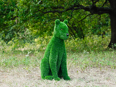 Топиари кошка Сметанка - газон Eco