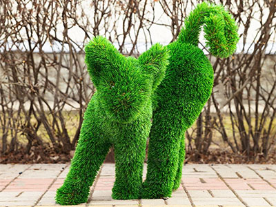 Топиари кот Василий — газон Deluxe