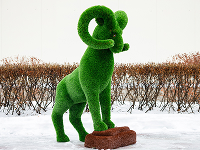 Топиари Козел на камне - газон Deluxe