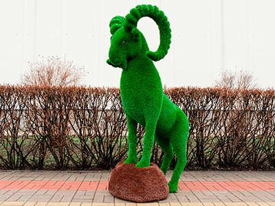 Топиари Козерог, модель 1- газон Eco