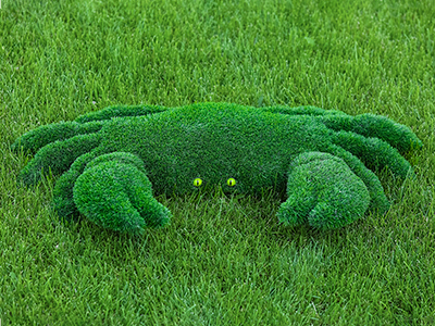 Топиари краб - газон Eco