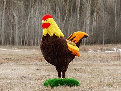 Топиари курочка Ряба - газон Eco + Deluxe