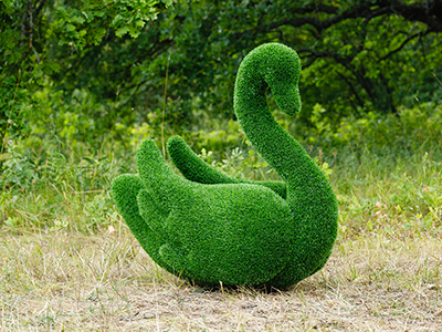 Топиари лебедь Кристи - газон Eco