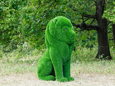 Топиари лев Гри - газон Eco