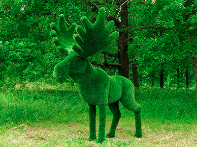 Топиари лось Карыч - газон Deluxe