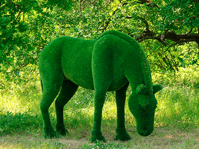 Топиари лошадь Ракета - газон Deluxe